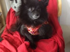 iphone_upload_pic-A+摄影