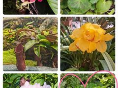 -国家植物园南园