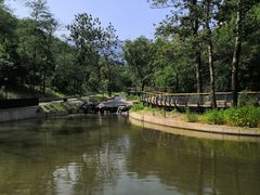 -白水寺森林公园