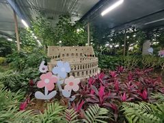 -南宫五洲植物乐园