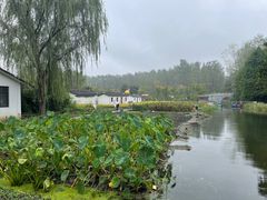 -溱湖国家湿地公园