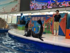 -成都浩海立方海洋公园