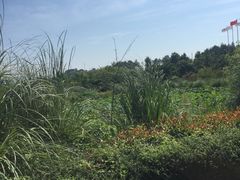 -凤凰谷天澜度假酒店云天阁自助餐