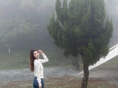 -长沙黑麋峰国家森林公园
