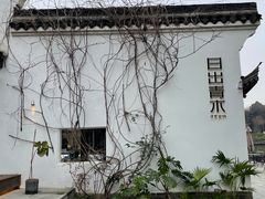 -日出青木