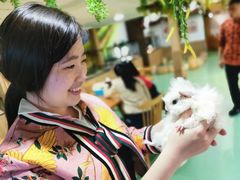 -藦茜花园宠物主题亲子互动体验馆(国顺东路店)
