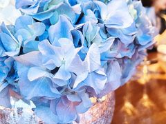 -沈阳君悦酒店·意坊意大利餐厅