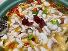 -青花椒花椒鱼(合生汇店)