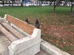 -宪法广场
