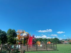 -苏州太湖西山岛开心农场