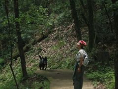 -昆明青龙峡风景区