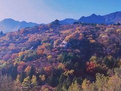 -白水寺森林公园