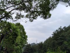 -阿哈湖国家湿地公园
