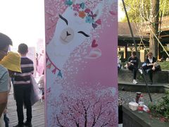 -金鸡湖桃花岛