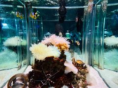 -太平洋海底世界