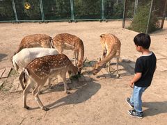 -北京麋鹿生态实验中心