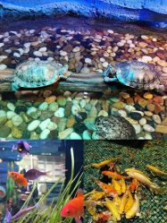 -酷嗒动物文化乐园(cutezoo西溪乐天城店)