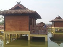 -杭州湾海上花田景区
