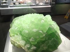 -湖南省地质博物馆