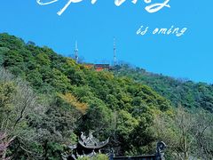 -韬光茶庵