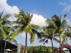 -亚龙湾国际玫瑰谷