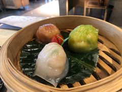 -点都德·毕德寮