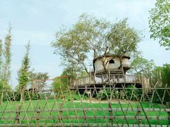 -田园东方蜜桃村的田野营地