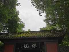 -桂湖森林公园