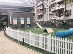 -奈斯宠物医院·核磁CT·异宠专科·内镜(中南店)
