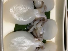 精品墨鱼仔-海底捞火锅(名门店)