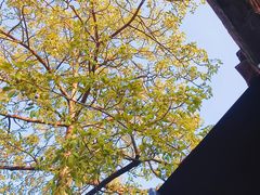 -烟桥古村
