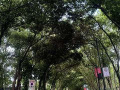 -广州市白云山风景名胜区