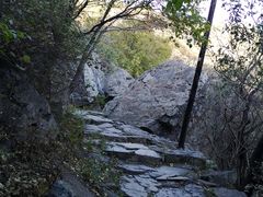 -阳台山自然风景区