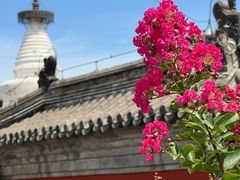 -妙应寺白塔
