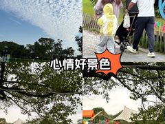 -上海都市菜园