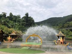 -西双版纳原始森林公园