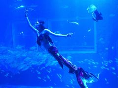 -太平洋海底世界