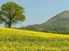 -兰陵国家农业公园