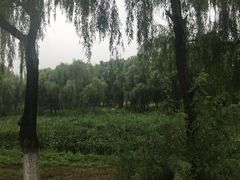 -东郊湿地公园
