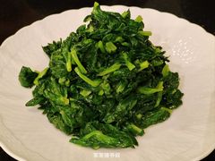 清炒豆苗-福1039(愚园路店)