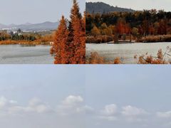 -荣祥海鲜·烟台菜(胜利路二部)