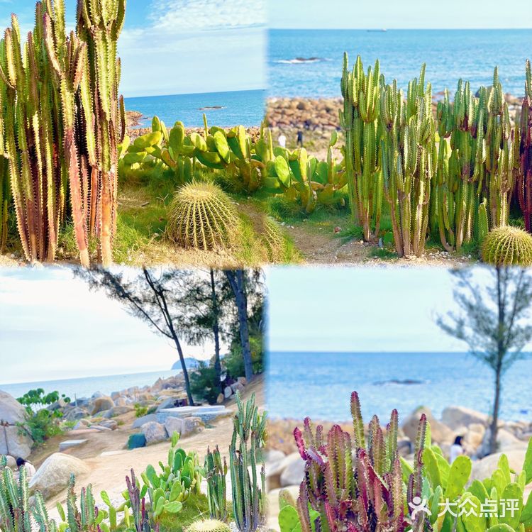 五一假期3⃣️广东小垦丁—惠州海龟岛🐢