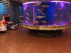 -印象·浅水湾(百乐门大厦店)