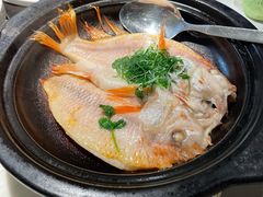 -陶陶居酒家(新天地店)