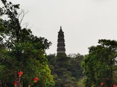 -顺峰山公园