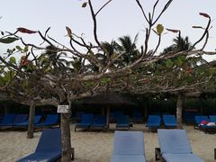 -三亚亚龙湾天域度假酒店