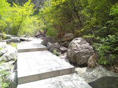 -云台山风景名胜区