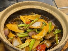 -金龙·打边炉(南京西路店)