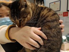 -猫的天空之城概念书店(杭州南宋御街店)