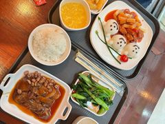 -广州长隆野生动物世界